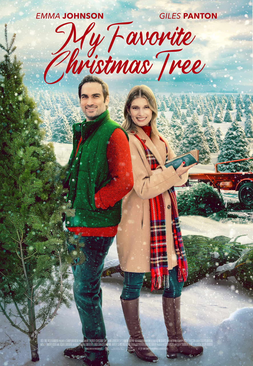 我最喜欢的圣诞树