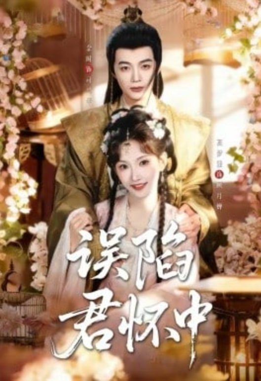 误陷君怀中(全集)