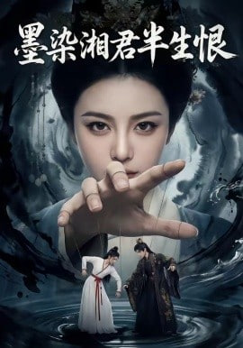 墨染湘君半生恨(全集)