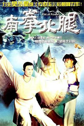 南拳北腿粤语第27集