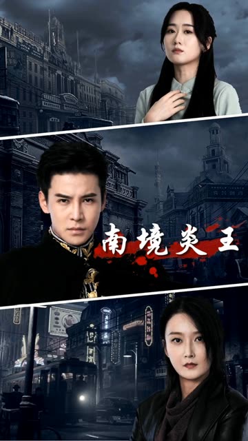 南境炎王全集(大结局)