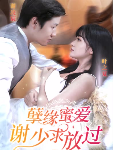 孽缘蜜爱谢少求放过(全集)