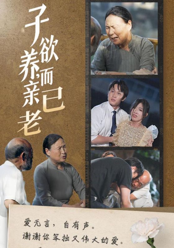 子欲养，而亲已老(全集)
