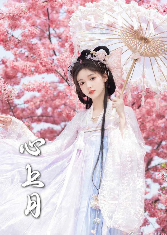 为凰 心上月(全集)