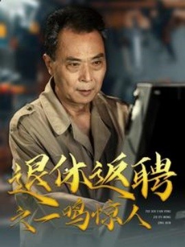 退休返聘之一鸣惊人短剧(全集)