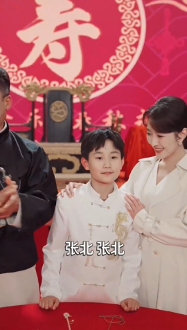 少年张北传(全集)