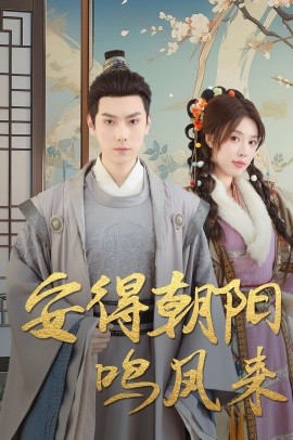安得朝阳鸣凤来 云鬓绾山河(全集)