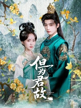 但为君故(全集)