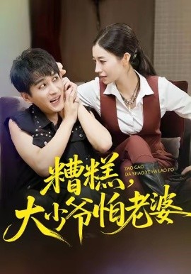 糟糕，大少爷怕老婆(全集)