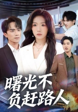 曙光不负赶路人(全集)