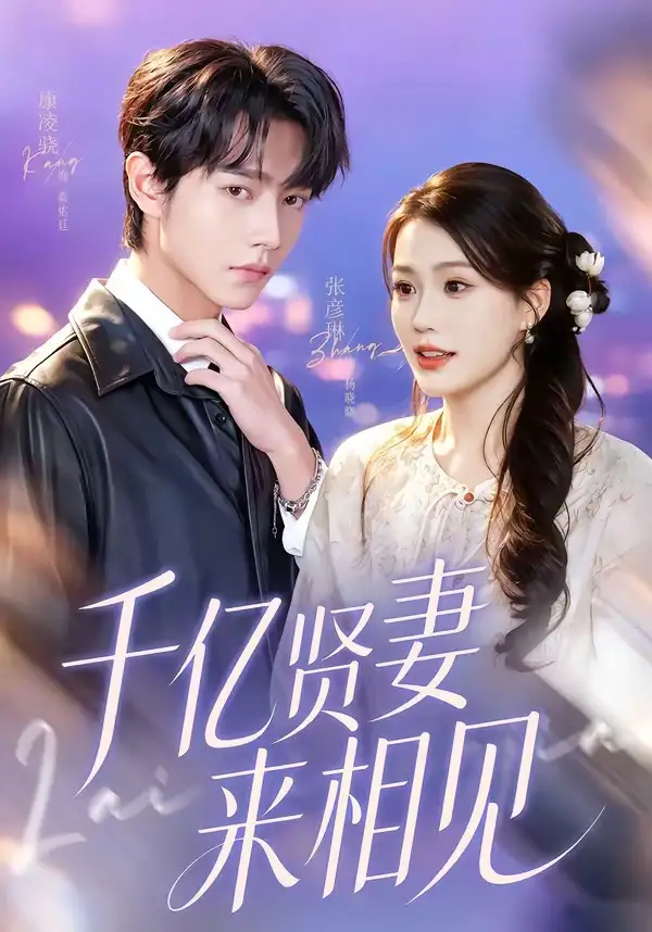 钻石贤妻来相见 千亿贤妻来相见(全集)