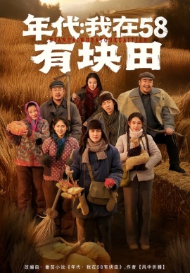 年代我在58有块田(全集)