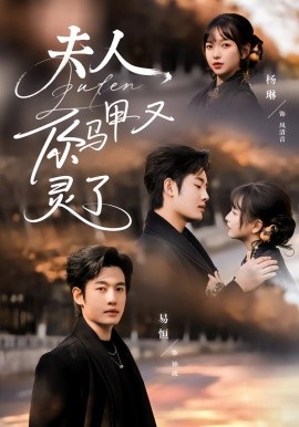 夫人你马甲又灵了(全集)