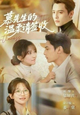 慕先生的温柔请签收(全集)