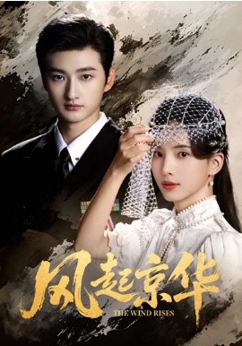 风起京华(全集)